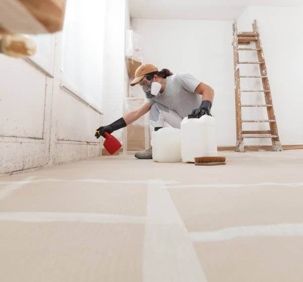 Dehumidification Services in Elizabethtown, KY